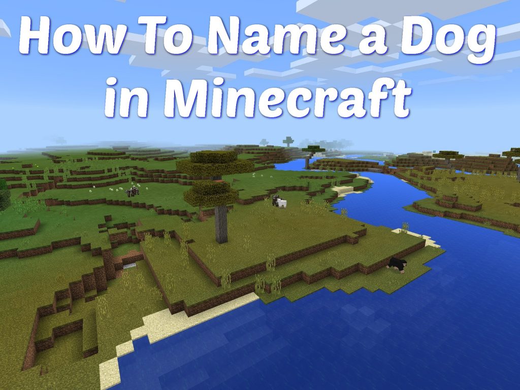 how-to-name-a-dog-in-minecraft-january-2021-with-pictures