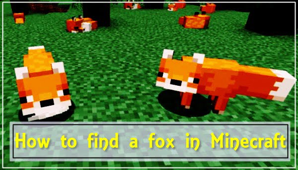 Comment trouver un renard dans Minecraft ?