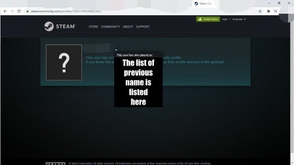 how to hide previous names on steam