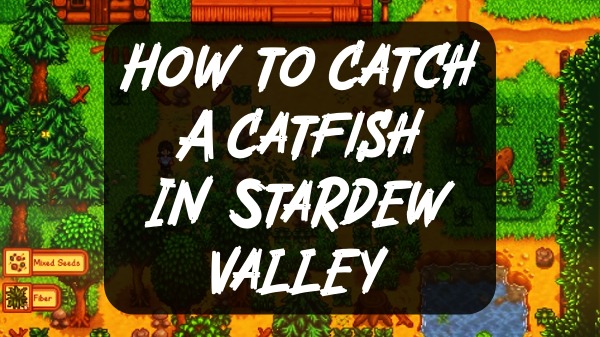 كيف تصطاد سمكة السلور في Stardew Valley + Location ، أين تجدها؟