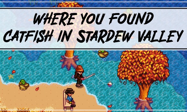 คุณหาปลาดุกใน Stardew Valley ได้อย่างไรและที่ไหน 