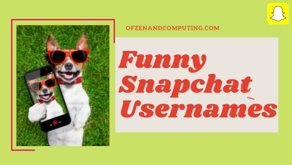 Funny Snapchat Usernames Ideas (2024)