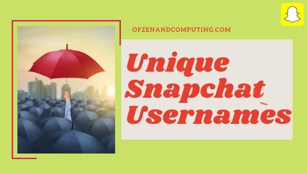 Unique Snapchat Username Ideas (2024)