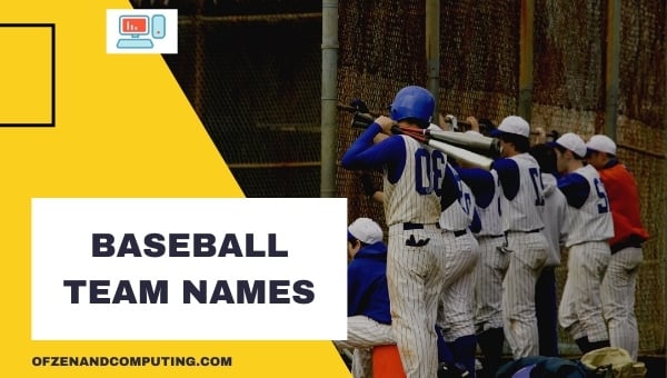 Baseball Team Names Ideas (2024)