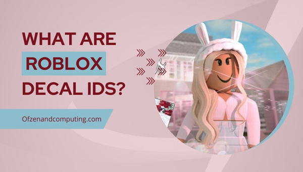 What Are Roblox Decal IDs?