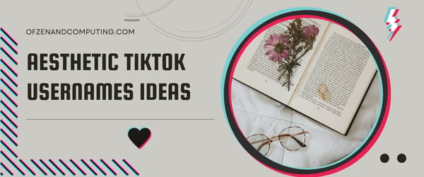 Aesthetic TikTok Usernames Ideas (2024)