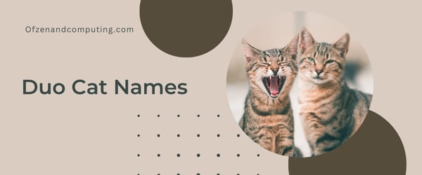 Duo Cat Names (2024)