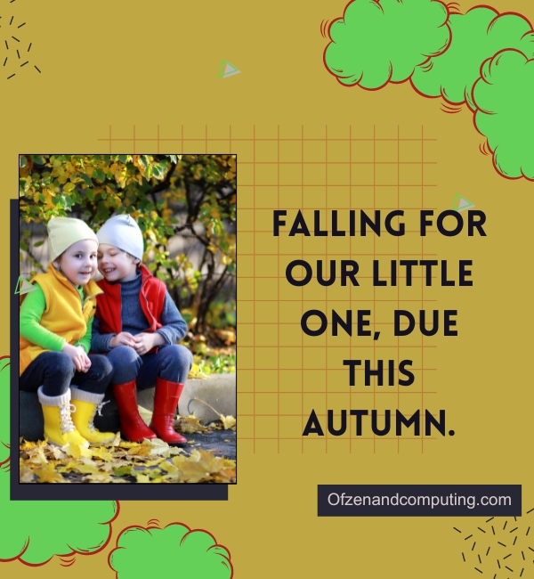 Fall Baby Announcement Captions For Instagram (2024)