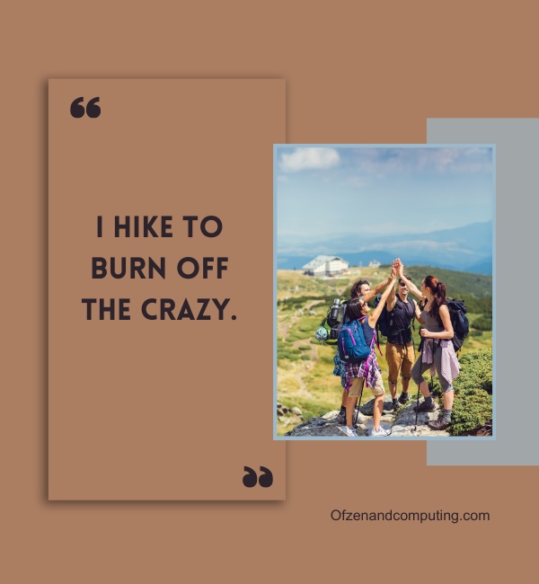 Funny Hiking Captions For Instagram (2024)