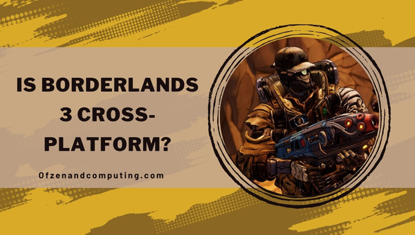 Is Borderlands 3 Cross-Platform in 2024?