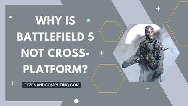 Why Is Battlefield 5 Not Cross-Platform?