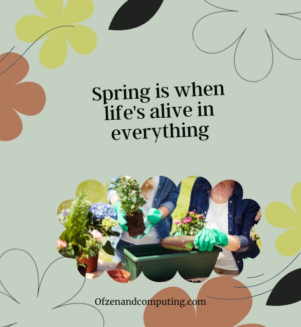 Inspirational Spring Captions For Instagram (2024)
