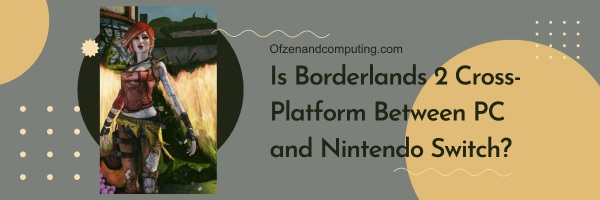 Is Borderlands 2 Cross-Platform Between PC and Nintendo Switch?