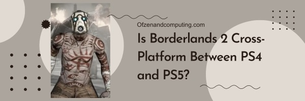 Is Borderlands 2 Cross-Platform Between PS4 and PS5?