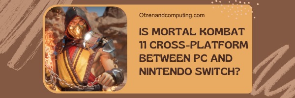 Is Mortal Kombat 11 Cross-Platform Between PC and Nintendo Switch?