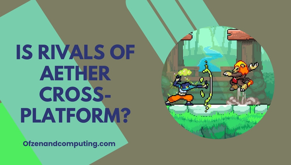 Is Rivals Of Aether Cross-Platform in 2024?