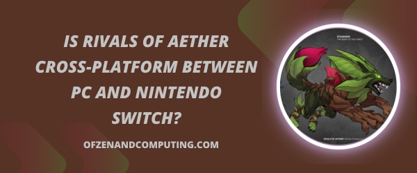 Является ли Rivals Of Aether кроссплатформенным между ПК и Nintendo Switch?