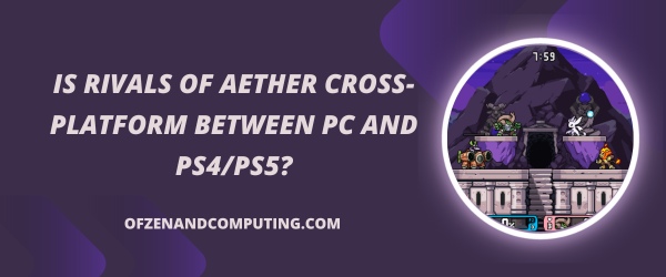 Is Rivals Of Aether Cross-Platform Between PC and PS4/PS5?