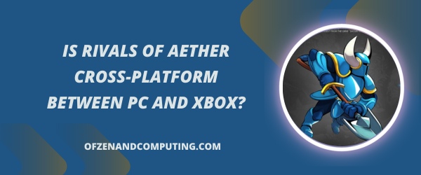 Is Rivals Of Aether Cross-Platform Between PC and Xbox?