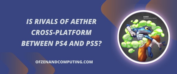 Rivals Of Aether é cross-platform entre PS4 e PS5?