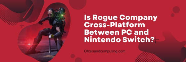 Is Rogue Company Cross Platform Between PC and Nintendo Switch
