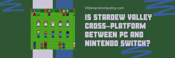 Is Stardew Valley Cross-Platform Between PC and Nintendo Switch?