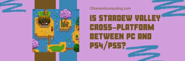 Is Stardew Valley Cross-Platform Between PC and PS4/PS5?