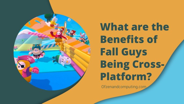 What are the Benefits of Fall Guys Being Cross-Platform?
