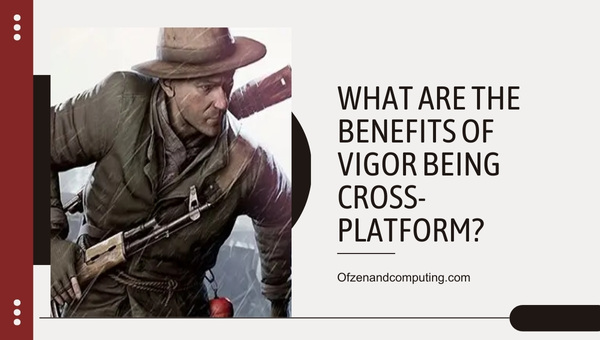What are the Benefits of Vigor Being Cross-Platform?