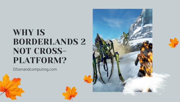 Why is Borderlands 2 Not Cross-Platform?