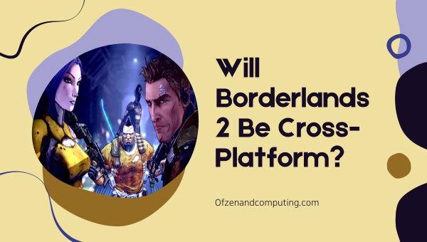 Will Borderlands 2 Be Cross-Platform?