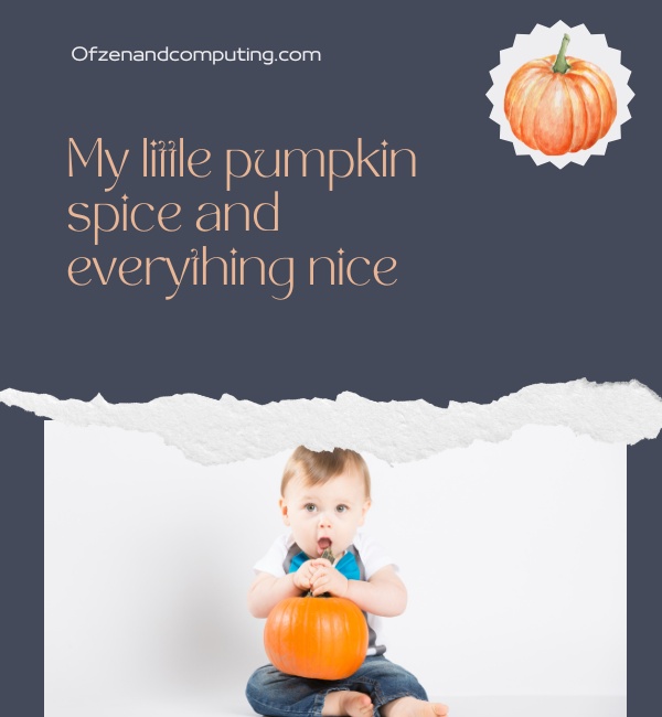 Baby Pumpkin Patch Captions For Instagram (2024)