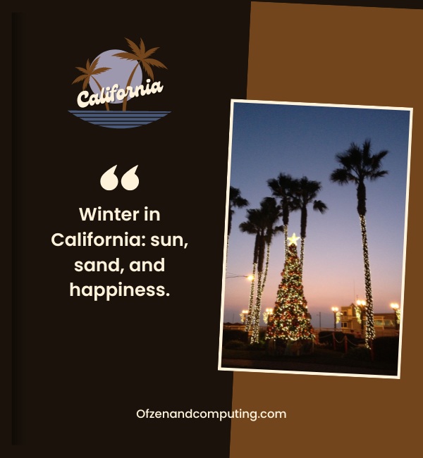 California Christmas Captions For Instagram (2024)