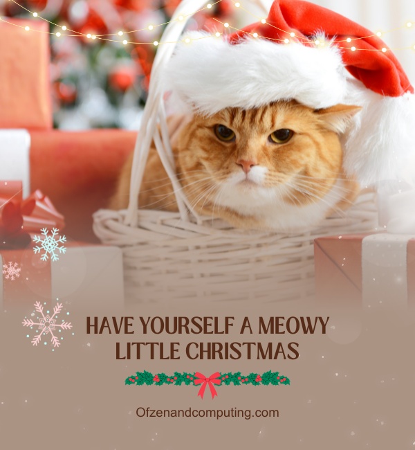 Cat Christmas Captions For Instagram (2024)
