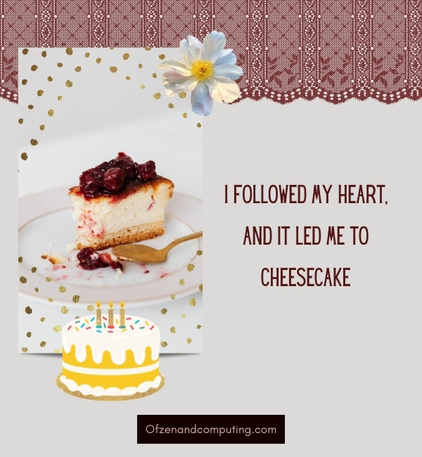 Cheese Cake Captions For Instagram (2024)