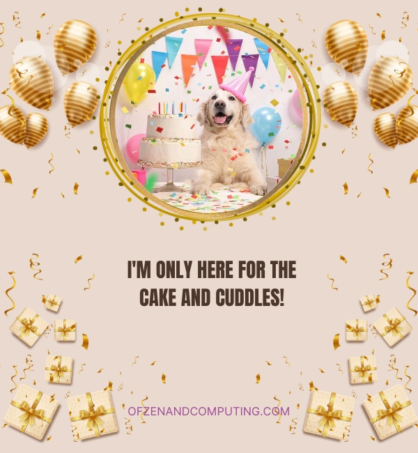 Dog Birthday Captions For Instagram