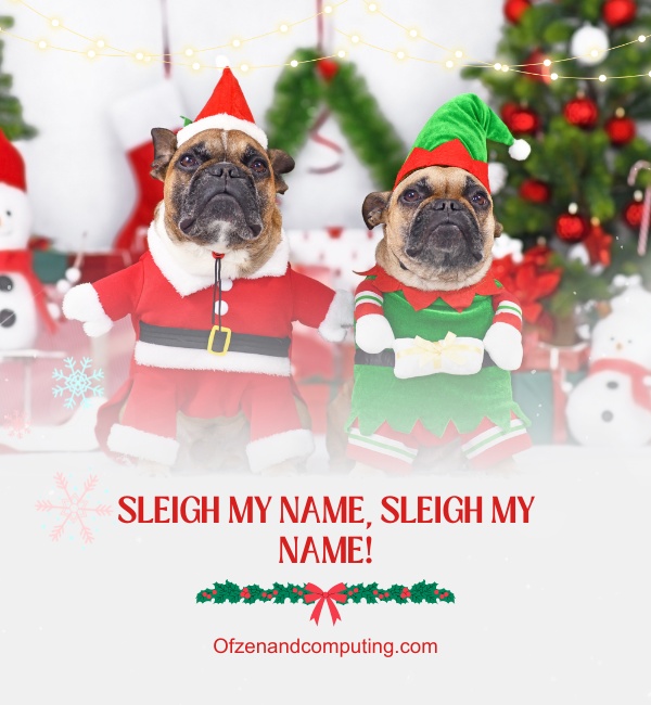 Dog Christmas Captions For Instagram (2024)