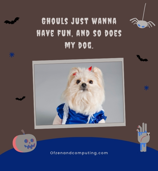 Dog Halloween Captions For Instagram (2024)
