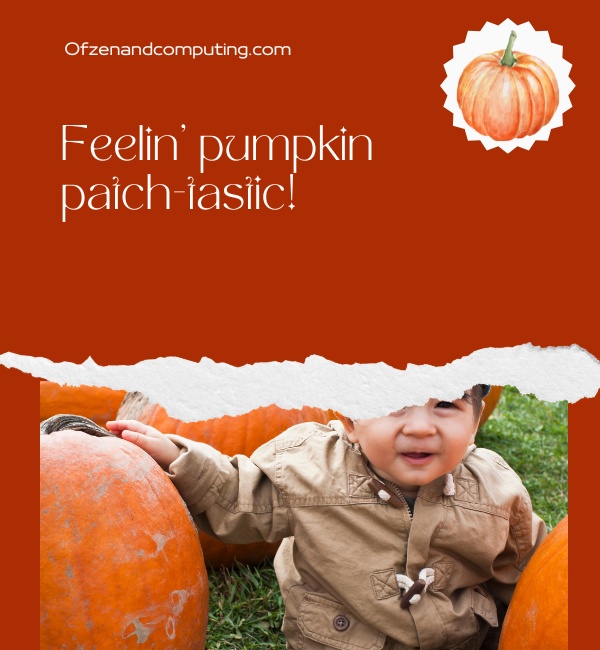 Funny Pumpkin Patch Captions For Instagram (2024)