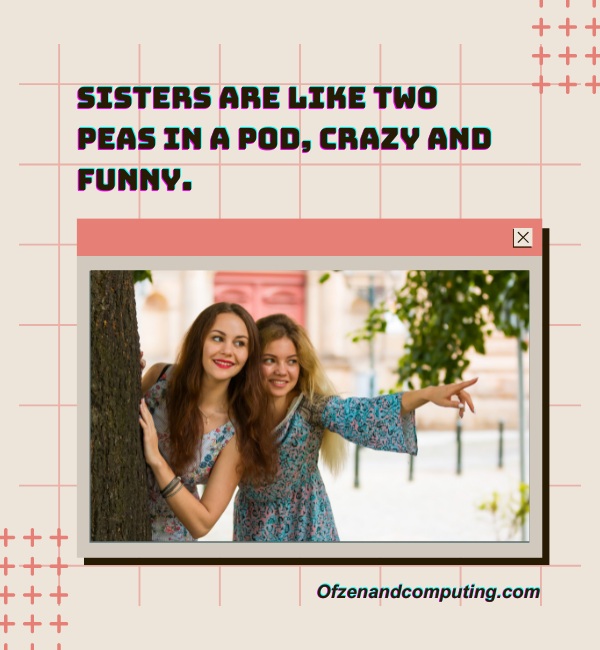Instagram Captions Crazy Funny Sister Quotes (2024)