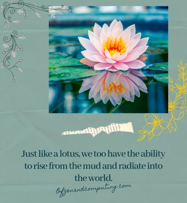 Lotus Flower Captions For Instagram (2024)