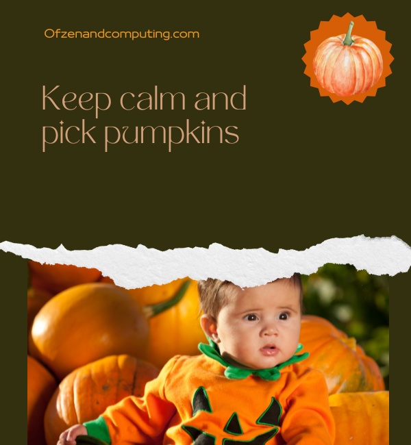 Pumpkin Patch Instagram Captions For Babies And Kids (2024)