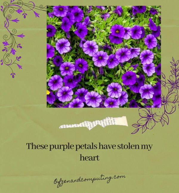 Purple Flower Captions For Instagram (2024)