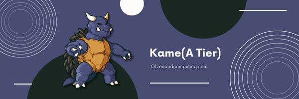 Kame (A Tier)