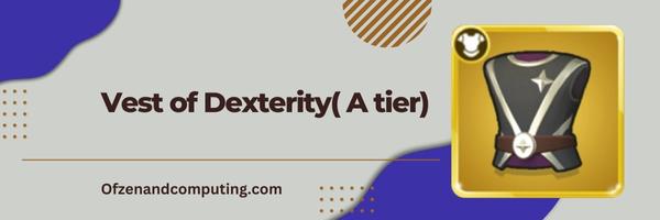 Vest of Dexterity ( A tier)