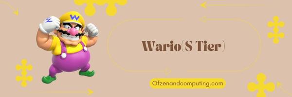 Wario (S Tier)