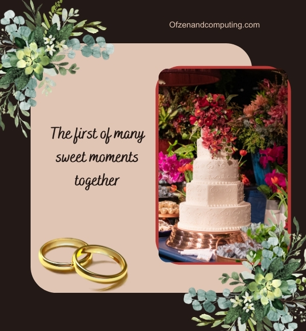 Wedding Cake Captions For Instagram (2024)