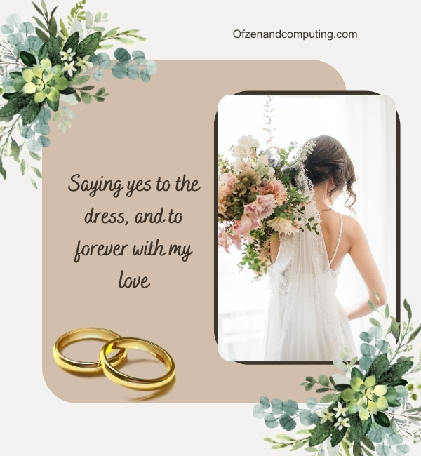 Wedding Dress Captions For Instagram (2024)