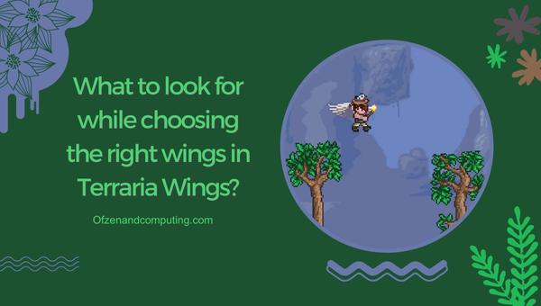 What to look for while choosing the right wings in Terraria Wings?