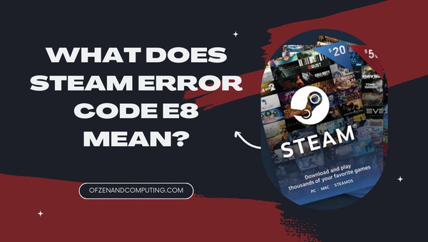 What does Steam Error Code E8 mean?